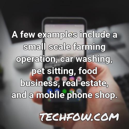 a few examples include a small scale farming operation car washing pet sitting food business real estate and a mobile phone shop