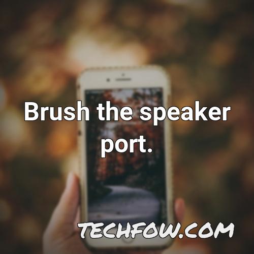 brush the speaker port