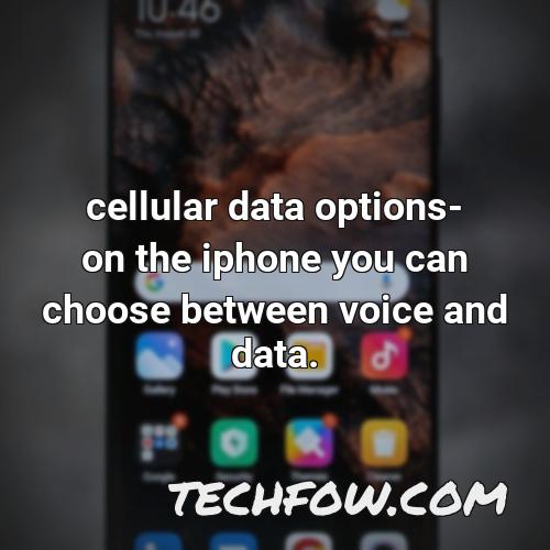 cellular data options on the iphone you can choose between voice and data