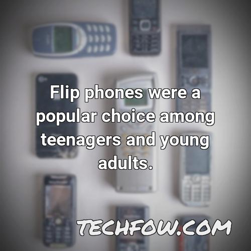 flip phones were a popular choice among teenagers and young adults