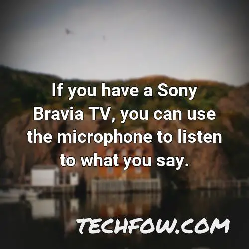 if you have a sony bravia tv you can use the microphone to listen to what you say