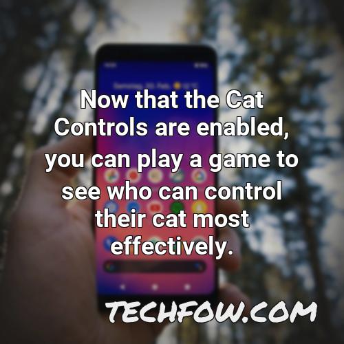 now that the cat controls are enabled you can play a game to see who can control their cat most effectively