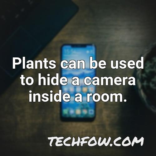 plants can be used to hide a camera inside a room