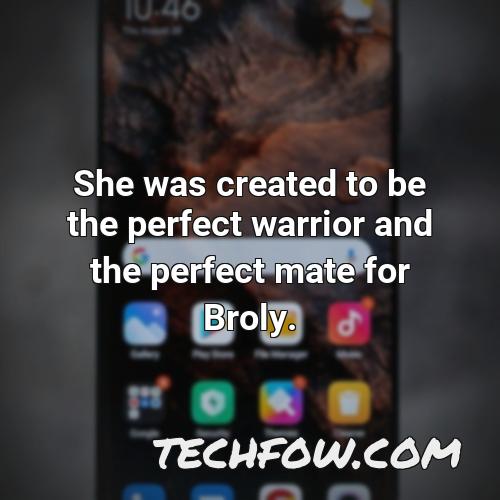 she was created to be the perfect warrior and the perfect mate for broly