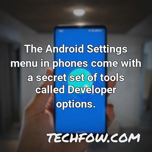the android settings menu in phones come with a secret set of tools called developer options