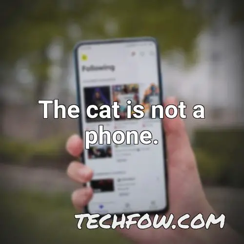 the cat is not a phone