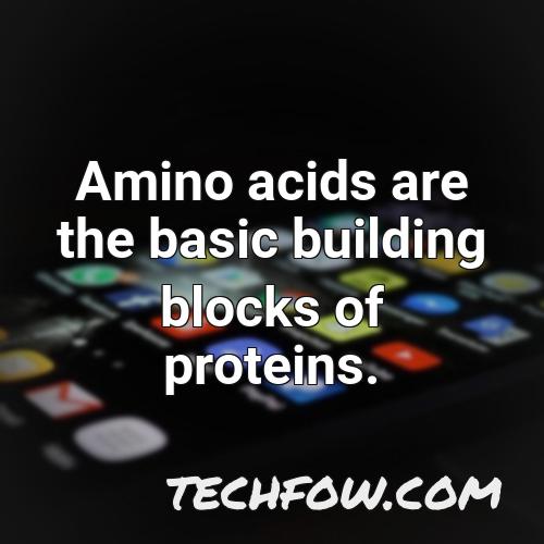 amino acids are the basic building blocks of proteins