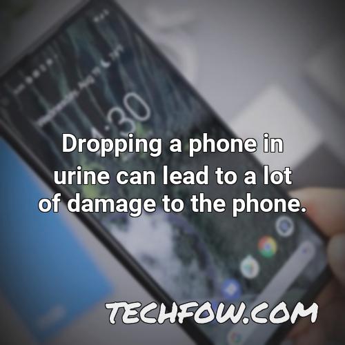dropping a phone in urine can lead to a lot of damage to the phone