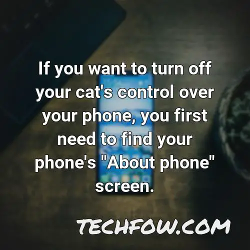 if you want to turn off your cat s control over your phone you first need to find your phone s about phone screen