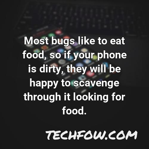 most bugs like to eat food so if your phone is dirty they will be happy to scavenge through it looking for food