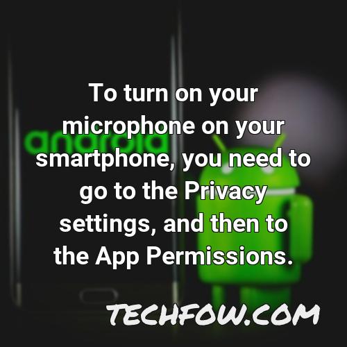 to turn on your microphone on your smartphone you need to go to the privacy settings and then to the app permissions