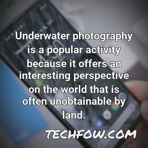 underwater photography is a popular activity because it offers an interesting perspective on the world that is often unobtainable by land